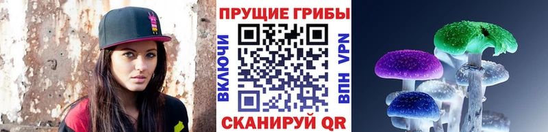 Купить  Томари  Галлюциногенные грибы Magic Shrooms 